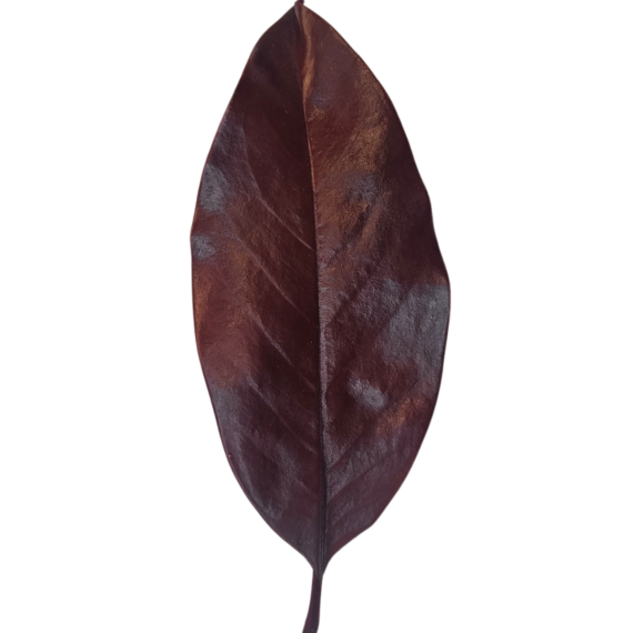 Dekorationsblade - 10 STK
