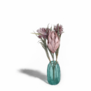 silkeblomst